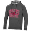 Champion Ohio State Triumph Fleece Hoodie