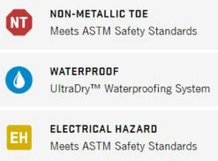 Irish Setter 6-Inch Waterproof NT Boot -Gustwillers Clothing Shop Irish Setter 6 Inch Waterproof NT Boot BROWN 2 38193.1710950351