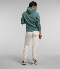 The North Face Brand Proud Hoodie -Gustwillers Clothing Shop The North Face Brand Proud Hoodie DARKSAGE 3 18768.1710519022