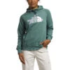 The North Face Brand Proud Hoodie
