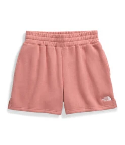 The North Face Evolution Shorts