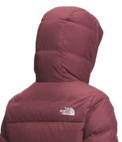 The North Face Gotham Parka -Gustwillers Clothing Shop The North Face Gotham Parka WILDGING 4 11590.1710521876